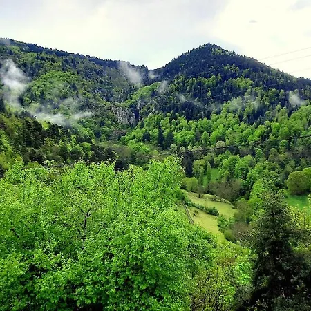 La Maison De Sophia Gaia, Proche Du Chemin De Compostelle منزل للإقامة Saint-Privat-dʼAllier