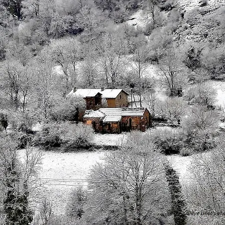 La Maison De Sophia Gaia, Proche Du Chemin De Compostelle Accommodatie bij particulieren