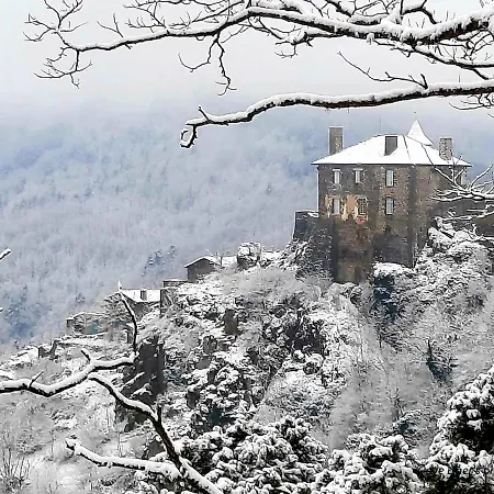 منزل للإقامة La Maison De Sophia Gaia, Proche Du Chemin De Compostelle Saint-Privat-dʼAllier